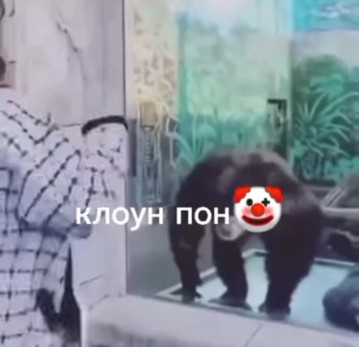 Стикерпак абизяна пони 3 для Telegram