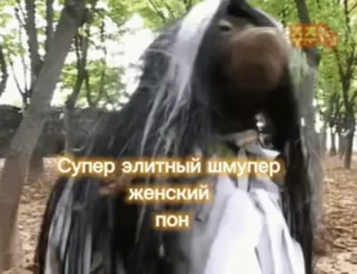 🐵 Стикер «абизяна пони 3» для Telegram