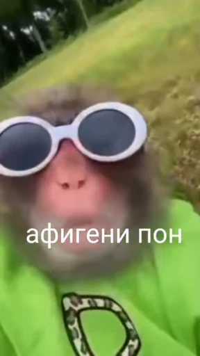 💀 Стикер «абизяна пони 3» для Telegram