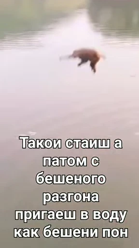 💀 Стикер «абизяна пони 3» для Telegram