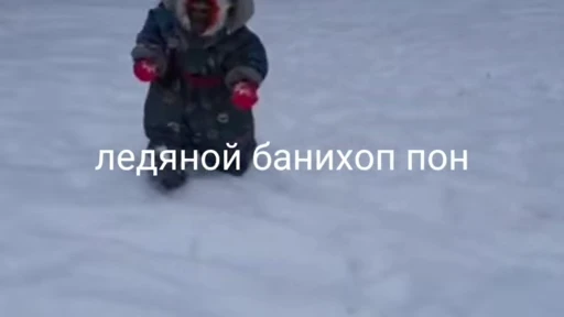 💀 Стикер «абизяна пони 3» для Telegram