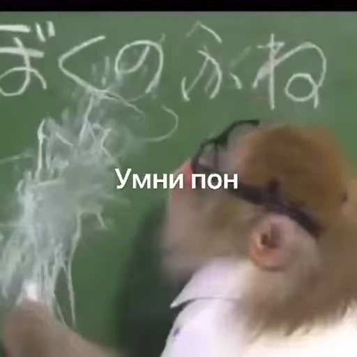 💆‍♂️ Стикер «абизяна пони 3» для Telegram