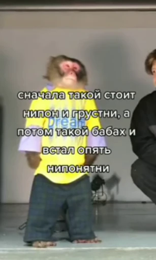 💀 Стикер «абизяна пони 3» для Telegram