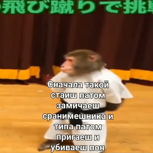 💀 Стикер «абизяна пони 3» для Telegram