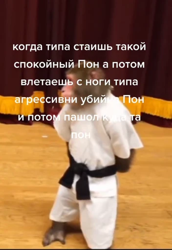 💀 Стикер «абизяна пони 3» для Telegram