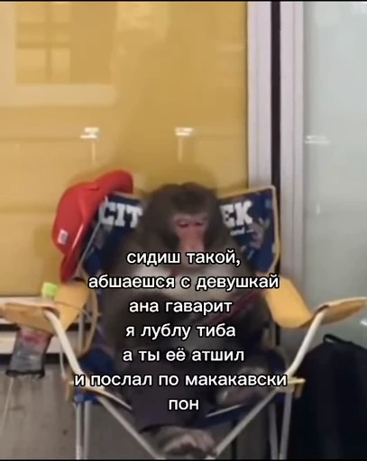 💀 Стикер «абизяна пони 3» для Telegram