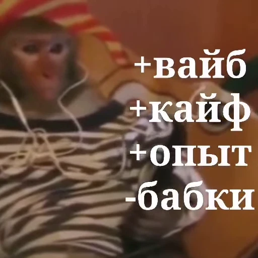 😎 Стикер «Обезьяны ПОН» для Telegram