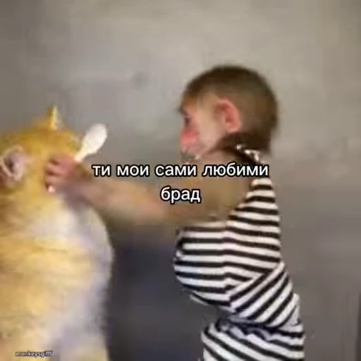 🐵 Стикер «Обезьяны ПОН» для Telegram