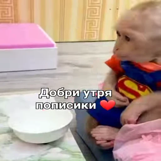 🐵 Стикер «Обезьяны ПОН» для Telegram