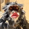 👄 Эмодзи «monkeys» для Telegram