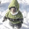 🧥 Эмодзи «monkeys» для Telegram
