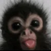 😛 Эмодзи «monkeys» для Telegram