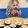 🍱 Эмодзи «monkeys» для Telegram