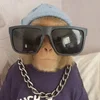 😎 Эмодзи «monkeys» для Telegram