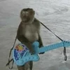 🎸 Эмодзи «monkeys» для Telegram