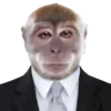 Стикерпак monkeys IKEA для Telegram