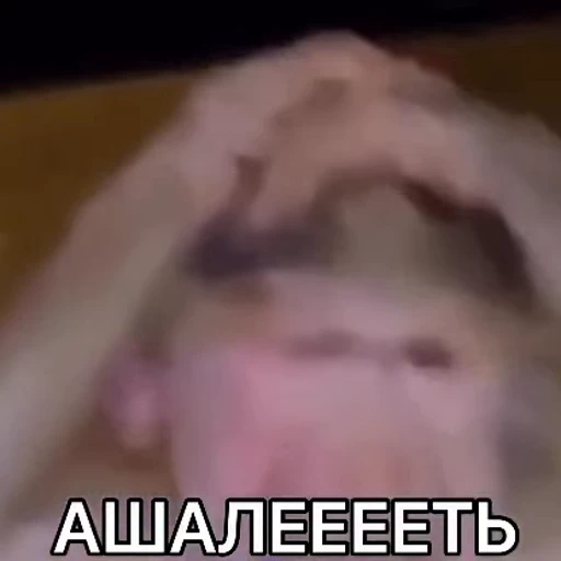 😱 Стикер «Monkeys pon» для Telegram