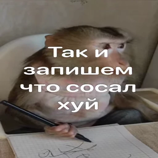 📝 Стикер «Monkeys pon» для Telegram