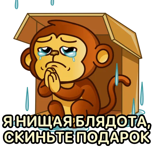 🥺 Стикер «Бибизяна» для Telegram