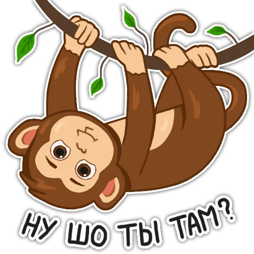 👀 Стикер «Обезьянка Олег» для Telegram
