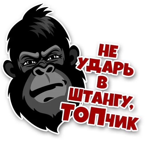 🧐 Стикер «12Monkiss» для Telegram