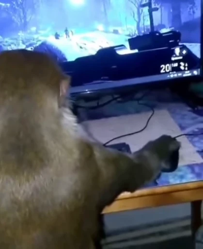 🐵 Стикер «Monkiz 3» для Telegram