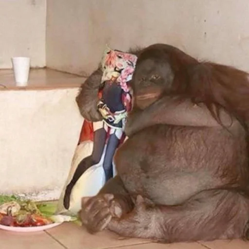🌺 Стикер «Monke» для Telegram