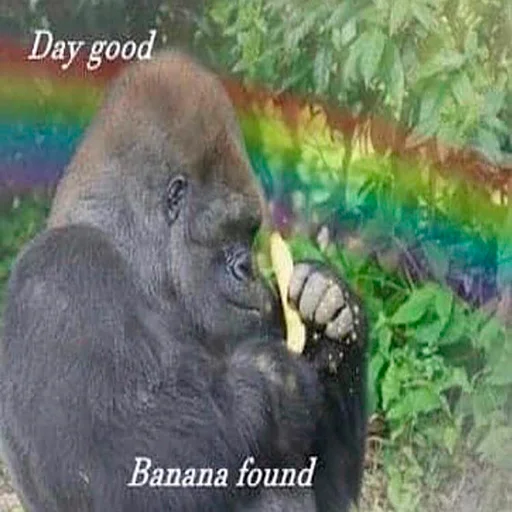 😊 Стикер «Monke» для Telegram