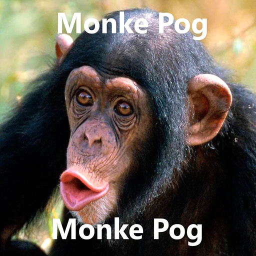 😮 Стикер «Monke» для Telegram