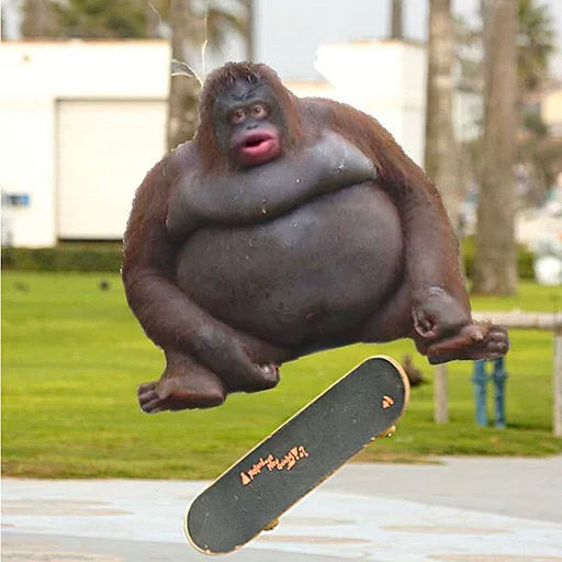 🛹 Стикер «Monke» для Telegram