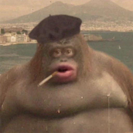 🤵 Стикер «Monke» для Telegram