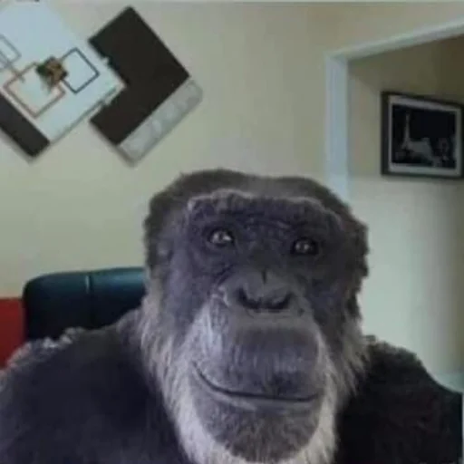 😐 Стикер «Monke» для Telegram