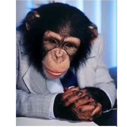 🤓 Стикер «Monke» для Telegram