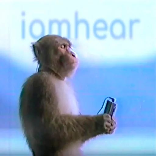 🎧 Стикер «Monke» для Telegram