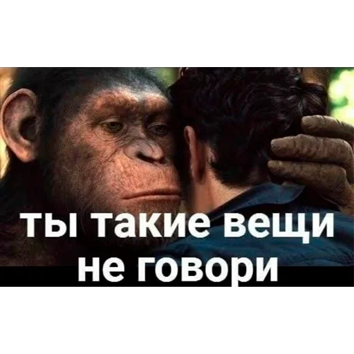 🦧 Стикер «Monke» для Telegram