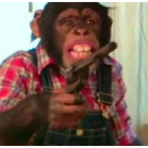 🔫 Стикер «Monke» для Telegram