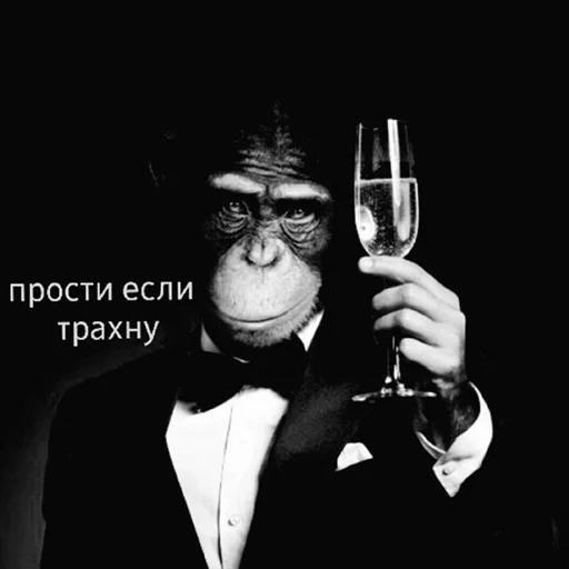 🦍 Стикер «Monke» для Telegram