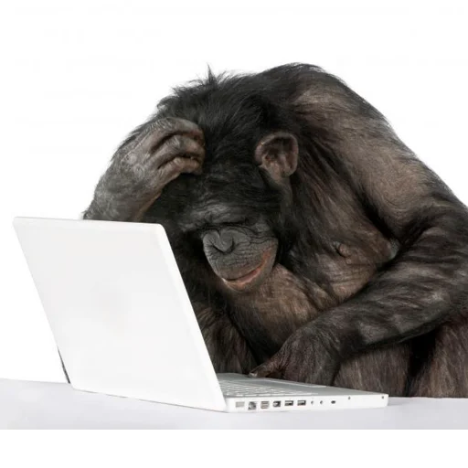 🤐 Стикер «Monke» для Telegram