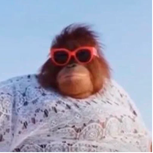 😎 Стикер «Monke» для Telegram