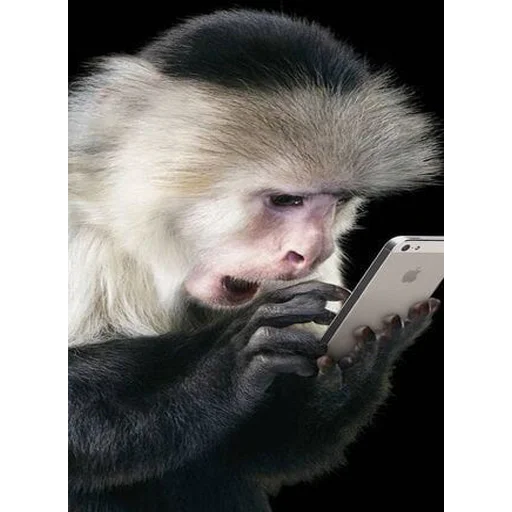 😃 Стикер «Monke» для Telegram