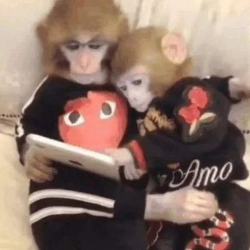 ❤️ Стикер «Monke» для Telegram