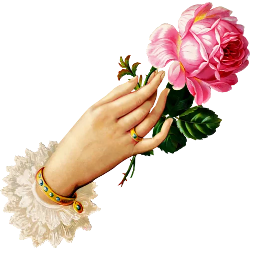 ❤ Стикер «منوعات2» для Telegram