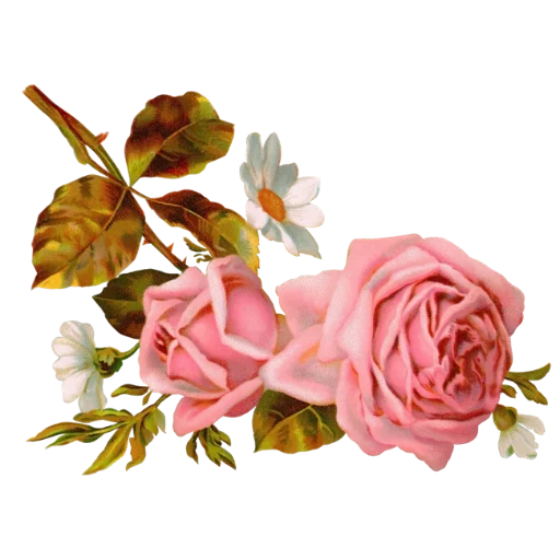 🌸 Стикер «منوعات2» для Telegram