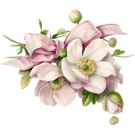 🌸 Стикер «منوعات2» для Telegram