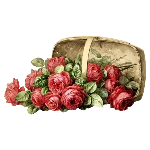 🌹 Стикер «منوعات2» для Telegram