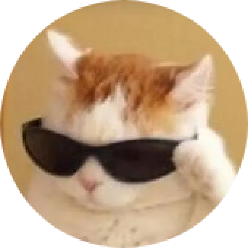 😎 Стикер «ᴍᴏᴏᴅ ʙʏ sᴍʙxᴠ» для Telegram