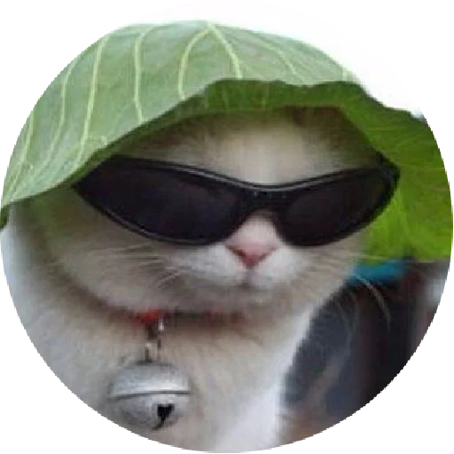 😎 Стикер «ᴍᴏᴏᴅ ʙʏ sᴍʙxᴠ» для Telegram
