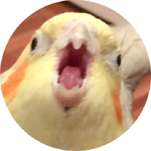 😱 Стикер «ᴍᴏᴏᴅ ʙʏ sᴍʙxᴠ» для Telegram