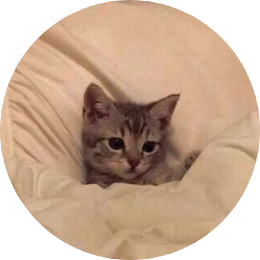 😐 Стикер «ᴍᴏᴏᴅ ʙʏ sᴍʙxᴠ» для Telegram