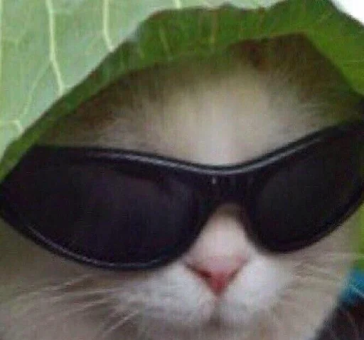 😎 Стикер «ᴍᴏᴏᴅ ʙʏ sᴍʙxᴠ» для Telegram